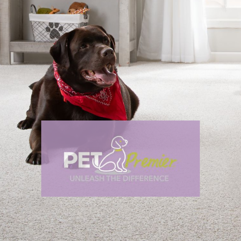 Mohawk Pet Premier 800 x 800 (1)
