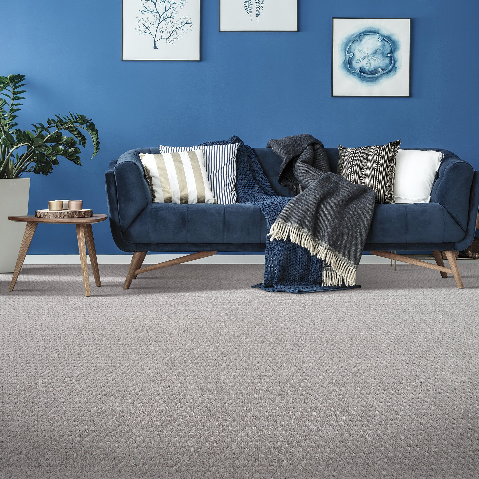 Flooring 101: Your Total Guide To All The Types Of Carpet