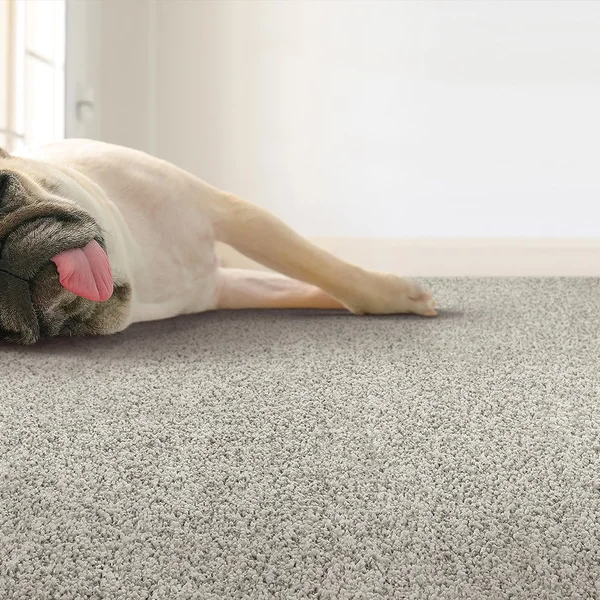 Tips From The Flooring Pros: How Long Does It Take To Install Carpet?