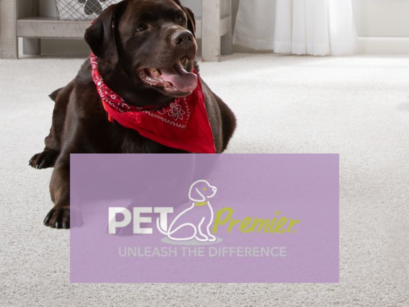 Mohawk Pet Premier 800 x 800 (1)