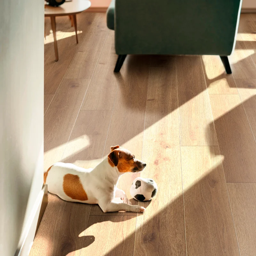 Dog sitting on vinyl flooring waiting to play fetch