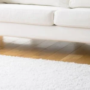 What Is The Story With Carpets And Rugs?