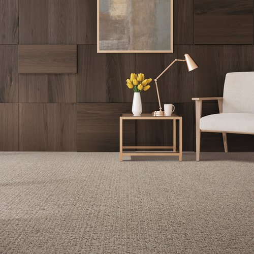 Contemporary carpet in Wynnewood, PA from Floors USA